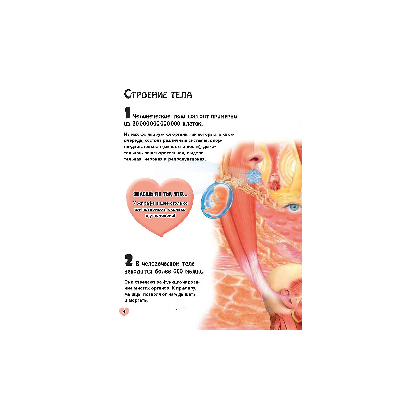 фото Энциклопедия "101 факт, который интересно знать. тело человека" эксмо