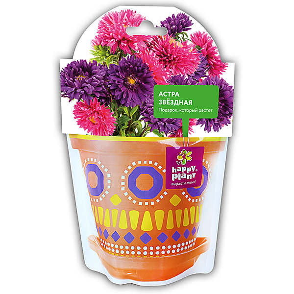 

Набор для выращивания Happy Plant Астра звездная