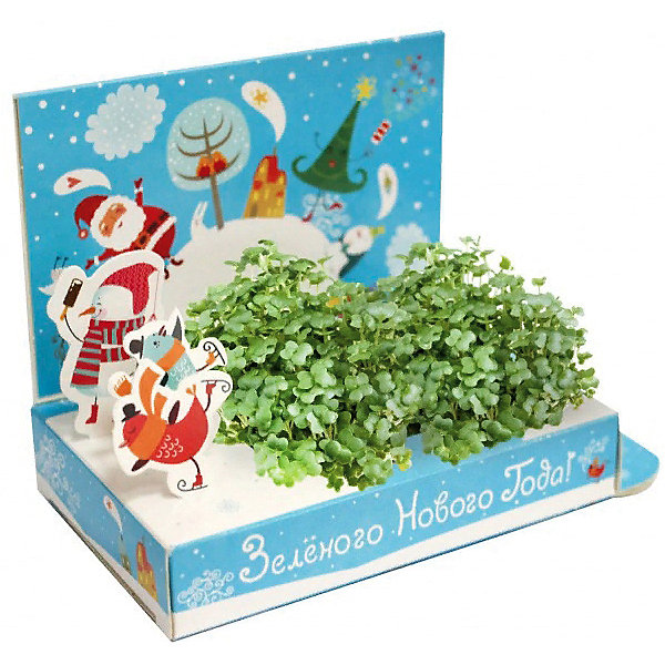 

Набор для выращивания Happy Plant Зелёного Нового года