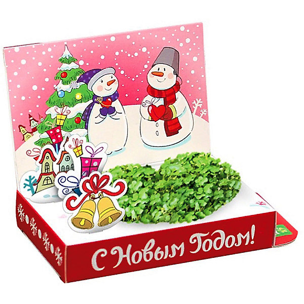 

Набор для выращивания Happy Plant Снеговик "Любви в Новом году, Набор для выращивания Happy Plant Снеговик "Любви в Новом году"
