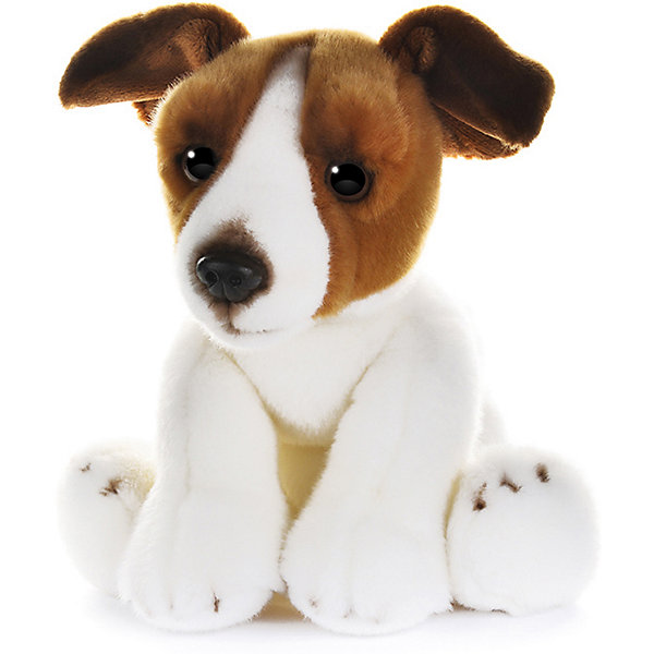 Мягкая игрушка MaxiLife "Собака Джек Рассел", 30 см MAXITOYS 16899160