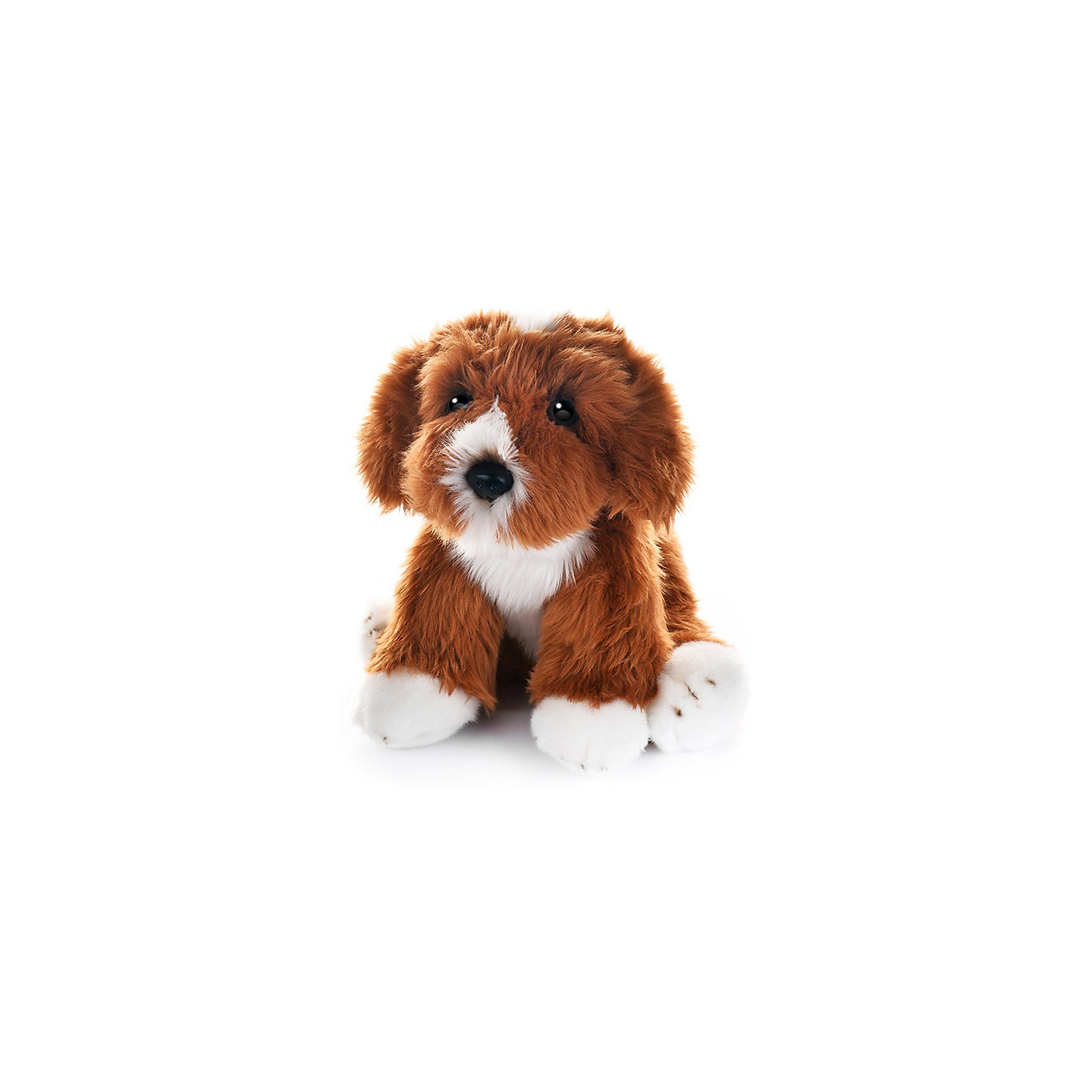 Мягкая игрушка MaxiLife "Собака Кавапун", 30 см MAXITOYS 16899224