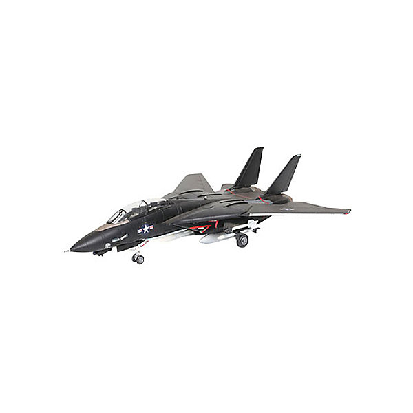 

Военный самолет F-14 Tomcat "Black Bunny"
