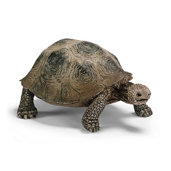 

Schleich Гигантская черепаха. Серия "Дикие животные, Schleich Гигантская черепаха. Серия "Дикие животные"