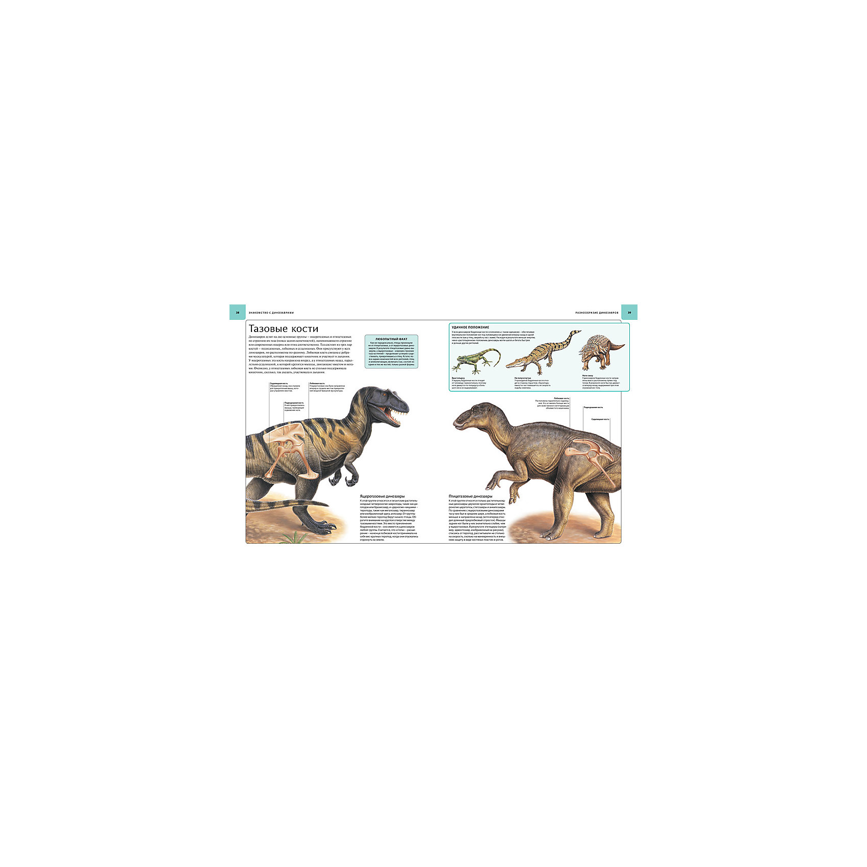 фото Иллюстрированный атлас "Динозавры" Махаон