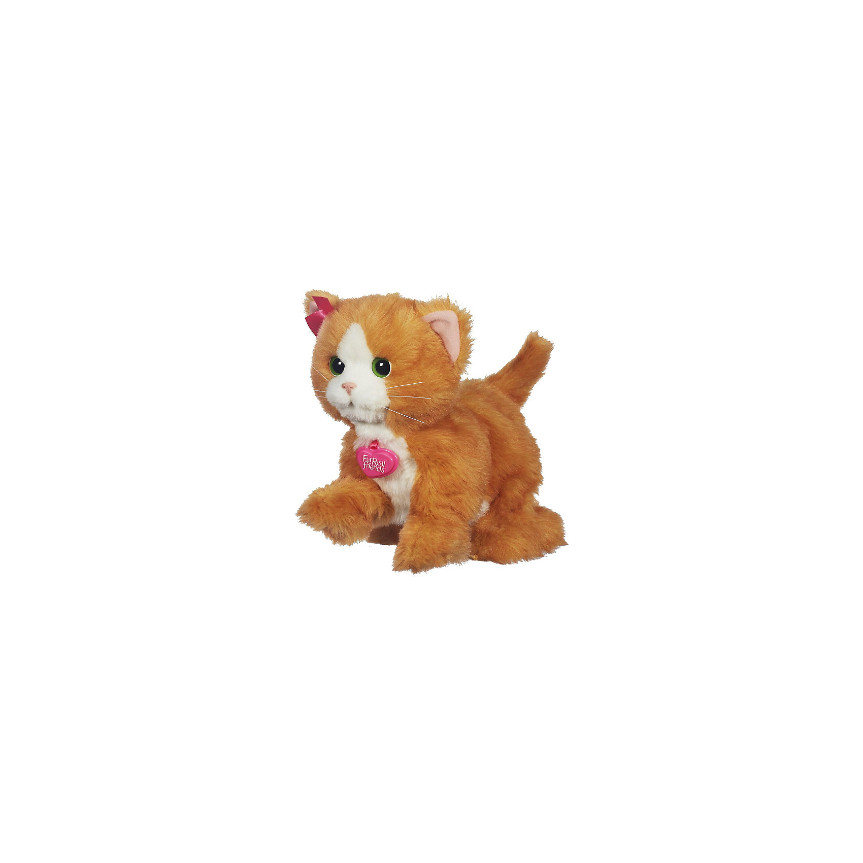 фото Игривый котенок дэйзи, furreal Hasbro