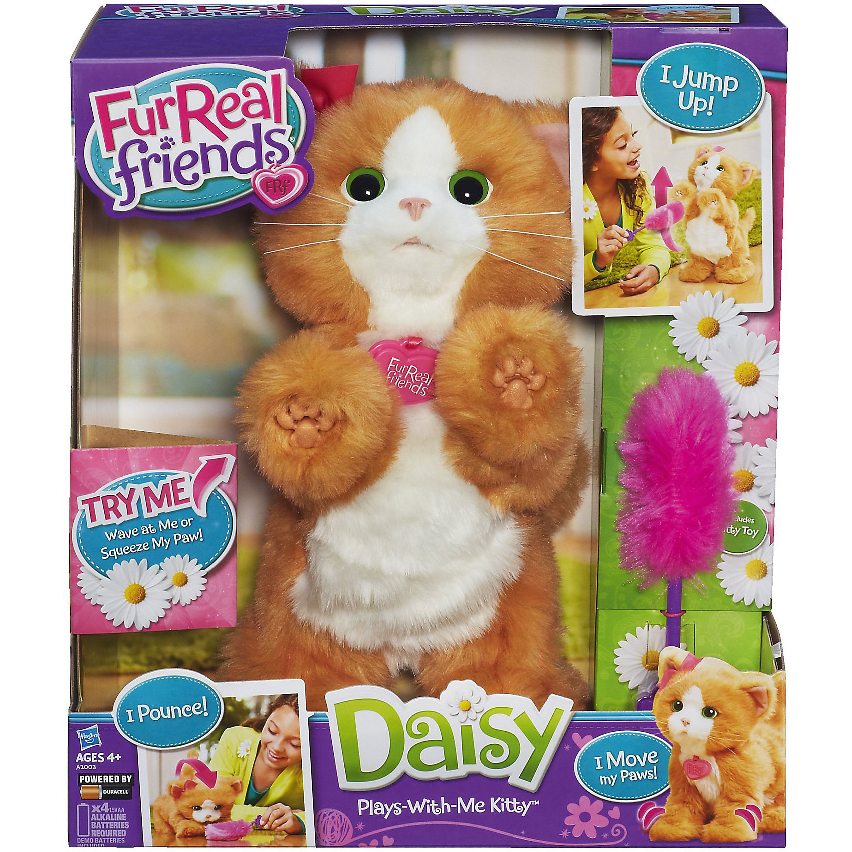 фото Игривый котенок дэйзи, furreal Hasbro