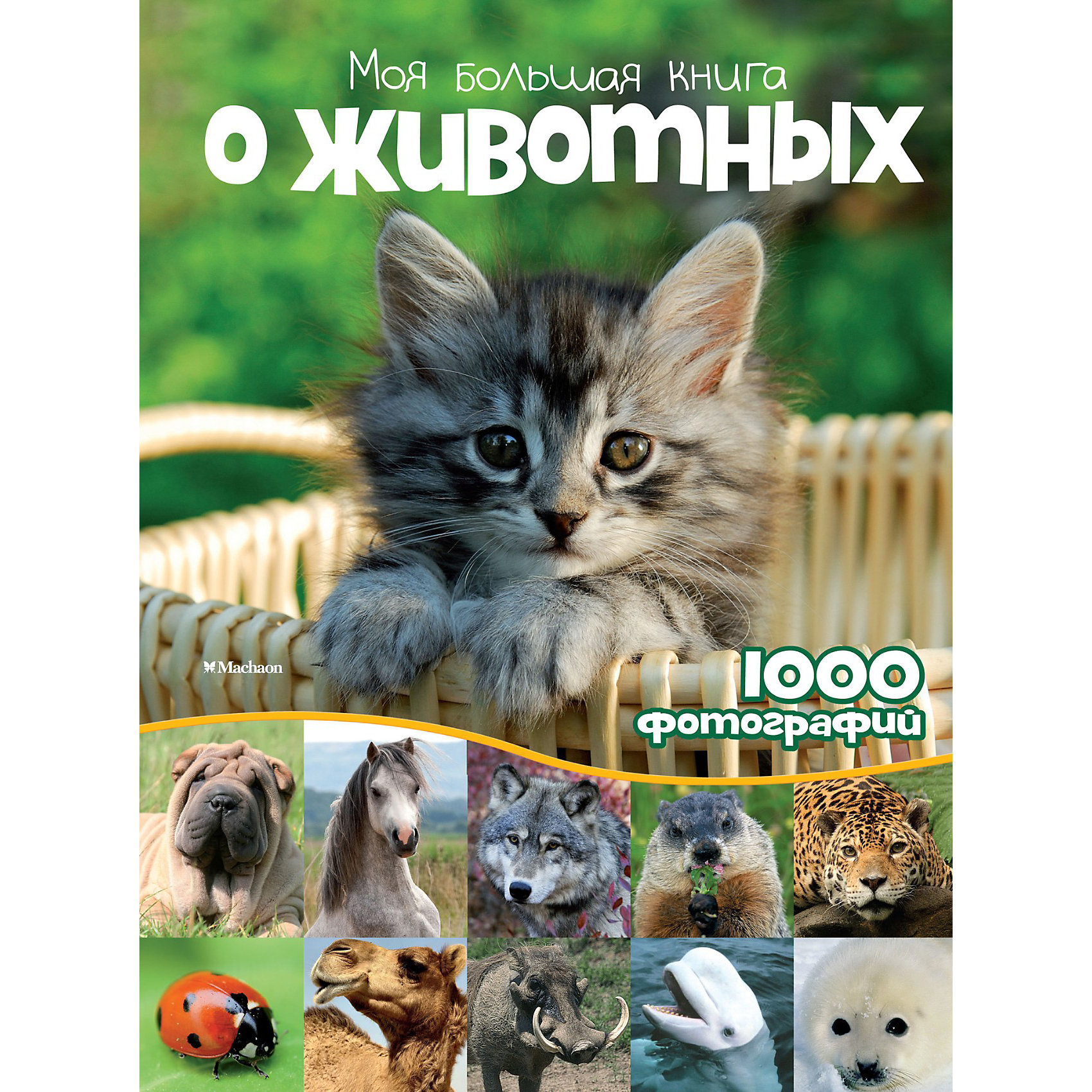 фото Энциклопедия "Моя большая книга о животных" Махаон