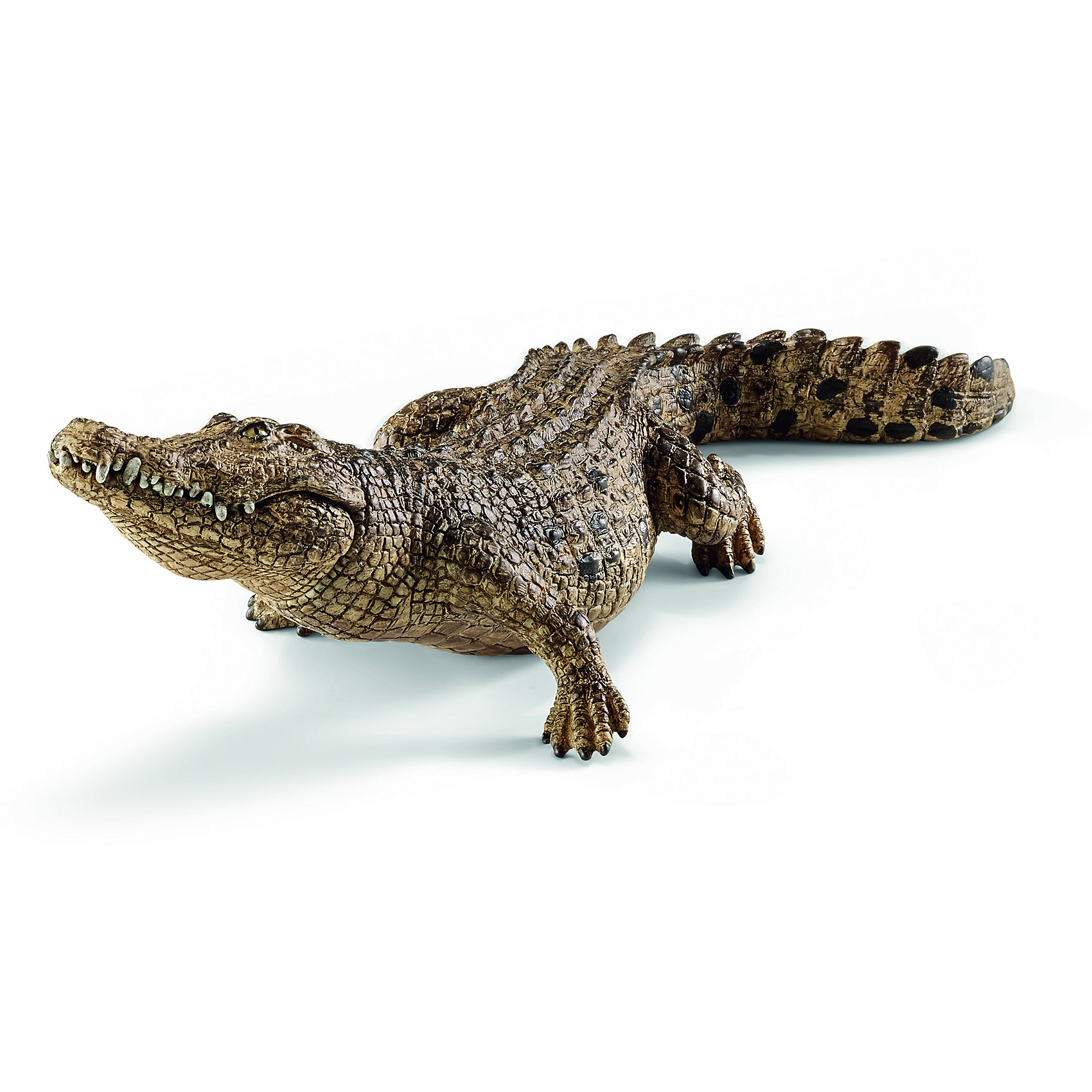 фото Крокодил, Schleich