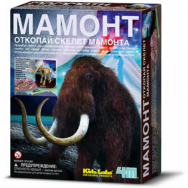 

Скелет Мамонта, 4М