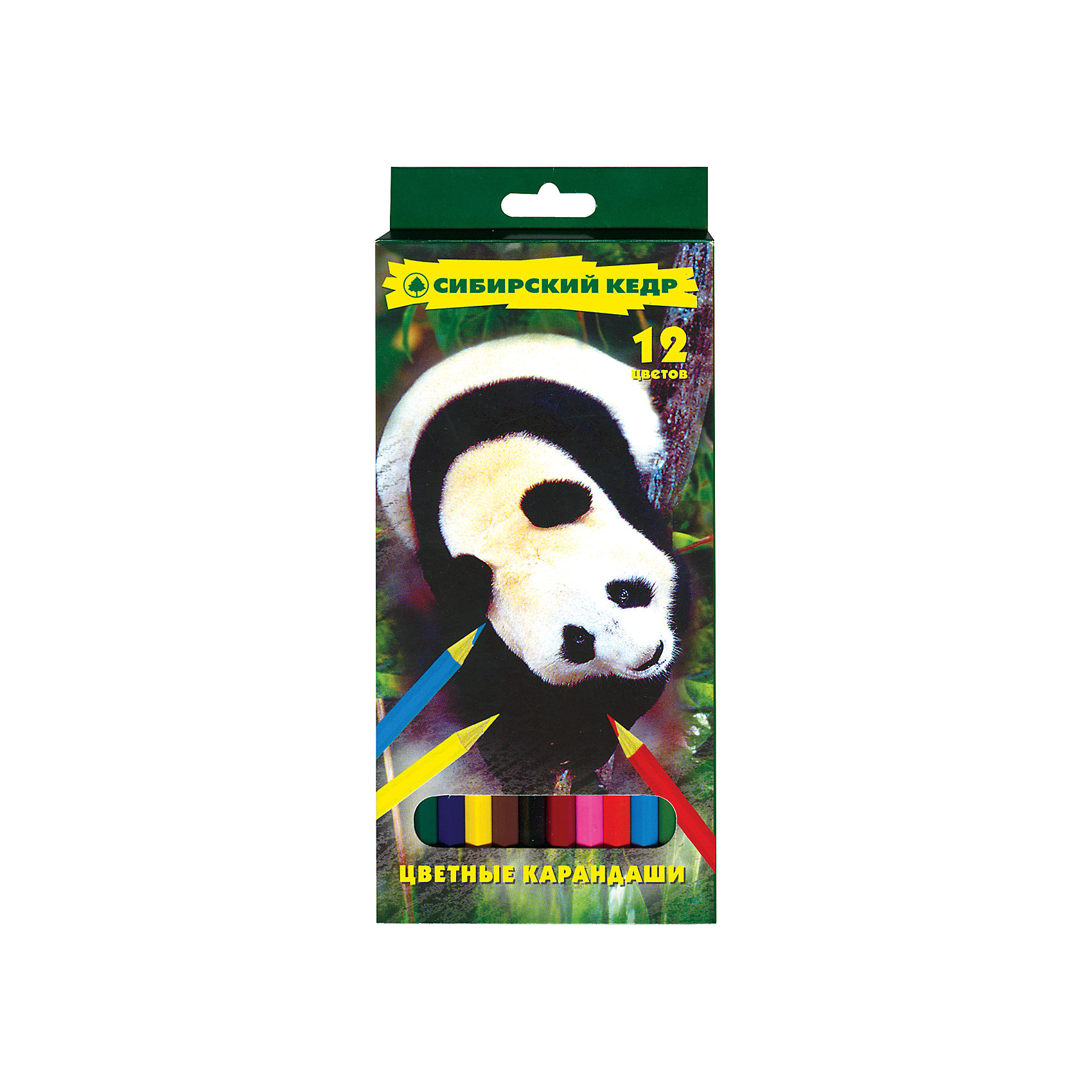 Panda 12. Панда карандашом. Карандаши цветные пластиковые Panda 12шт.. Набор карандашей Панда.