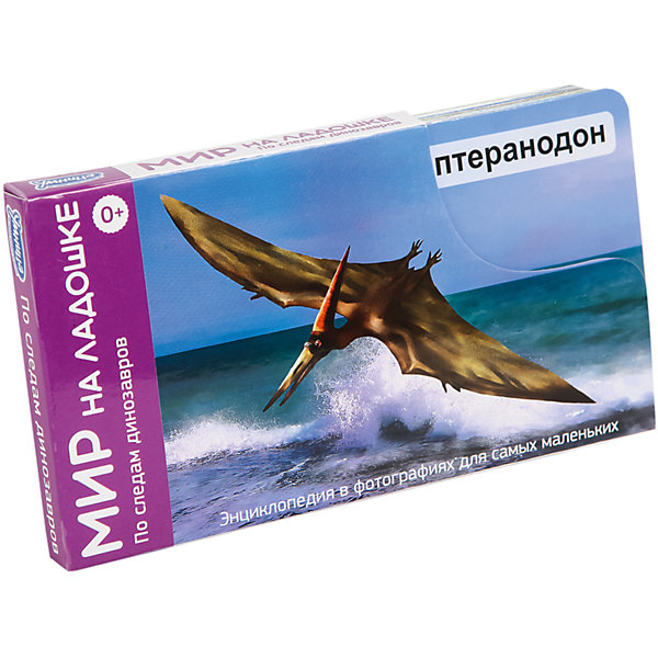 

Мир на ладошке "По следам динозавров" (выпуск 5)
