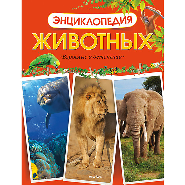 

Энциклопедия животных "Взрослые и детёныши"