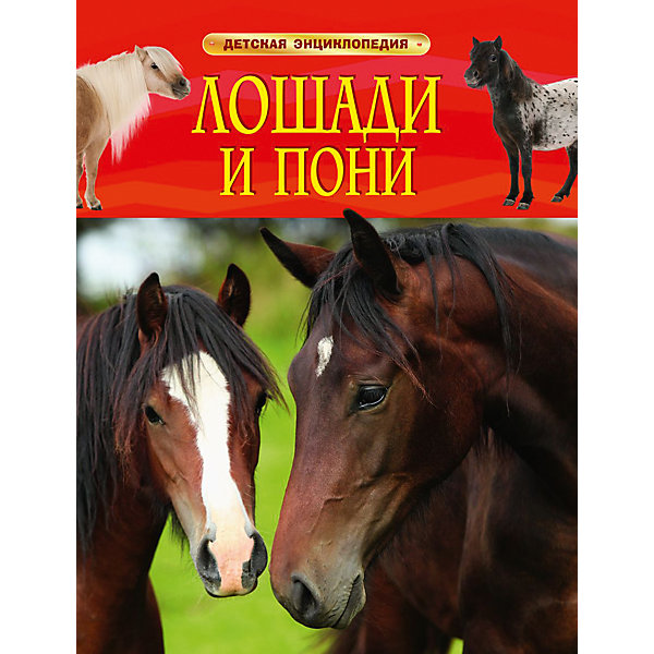 фото Детская энциклопедия "Лошади и пони" Росмэн