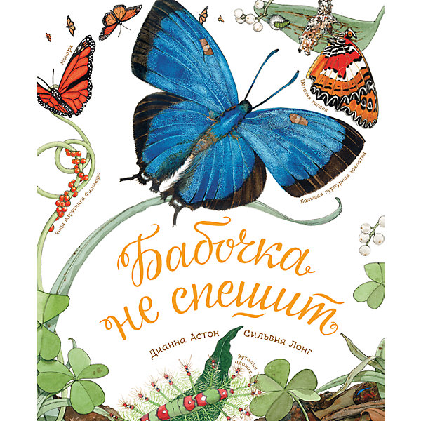 

Бабочка не спешит
