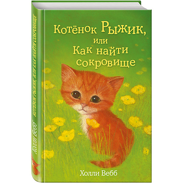 

Котёнок Рыжик, или как найти сокровище, Котёнок Рыжик, или как найти сокровище