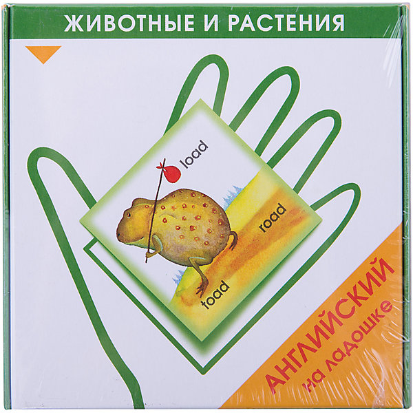 

Карточки "Английский на ладошке. Животные и растения"