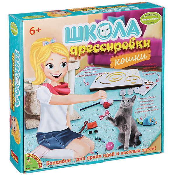 фото Школа дрессировки "Кошки" Bondibon