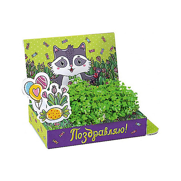 

Набор для выращивания "Поздравляю"- Енот Happy Plant