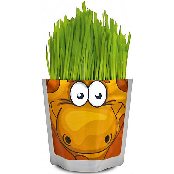 

Набор для выращивания "Сафари" - Жираф Happy Plant