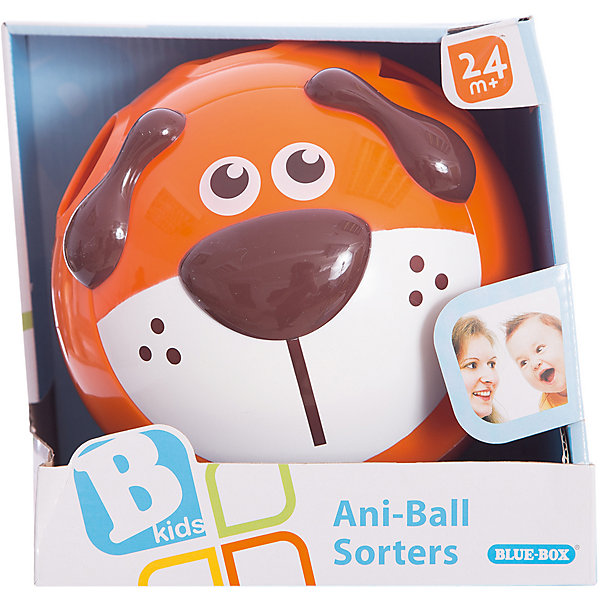 

Сортер, BKids