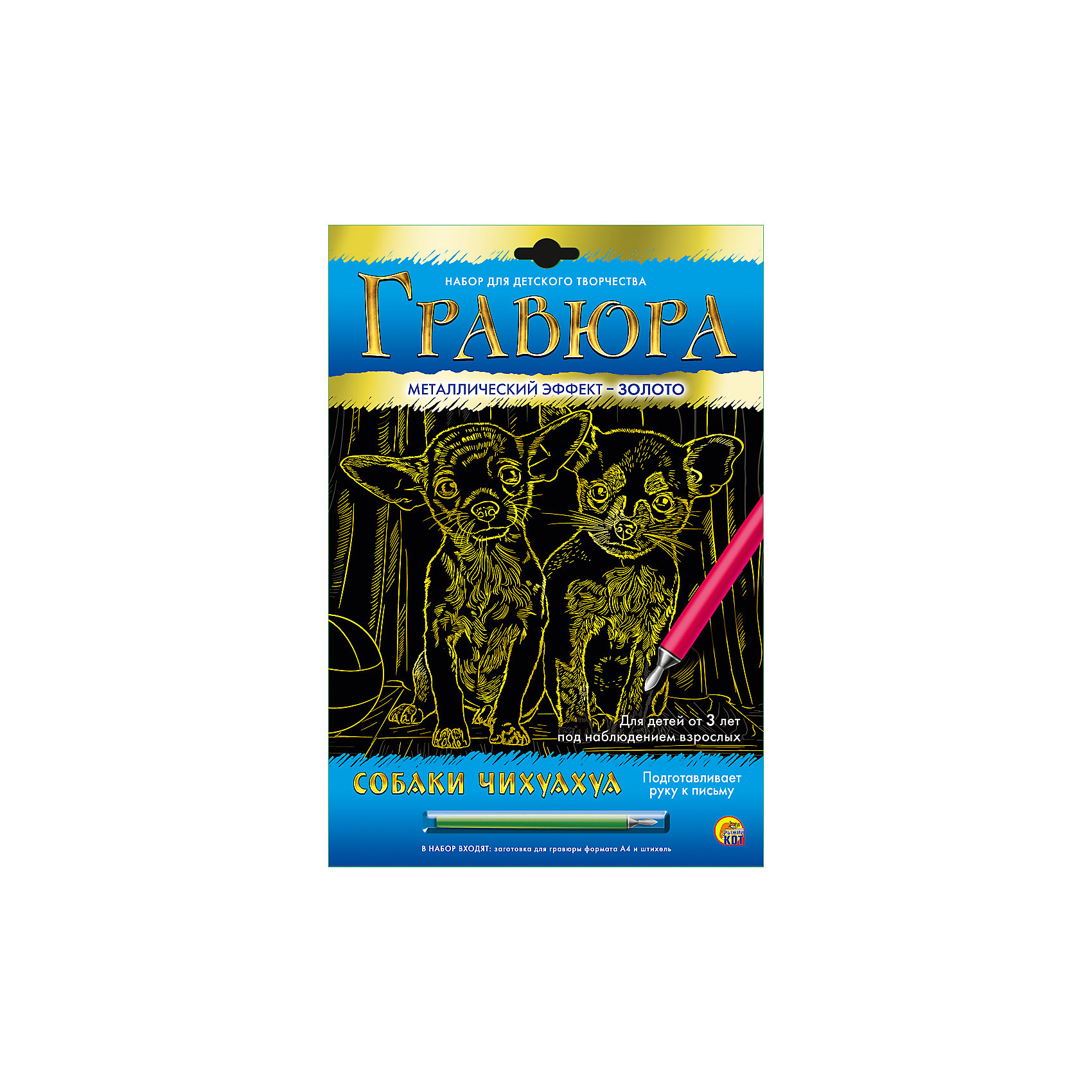 Гравюра А4 в конверте Собаки чихуахуа (золото) Издательство Рыжий кот 5096815