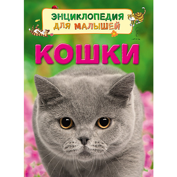 

Кошки (Энциклопедия для малышей)