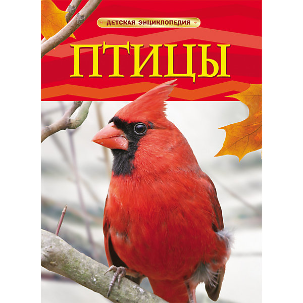 

Детская энциклопедия "Птицы, Детская энциклопедия "Птицы"