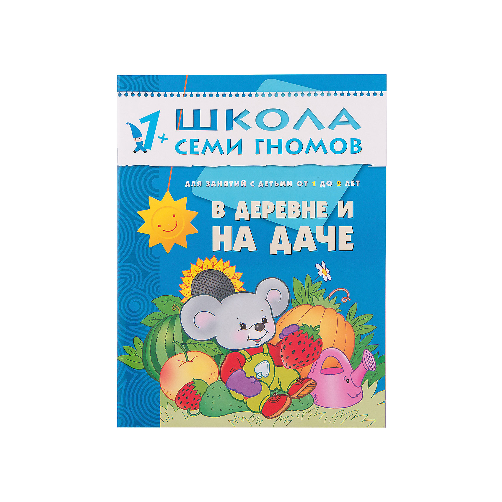 фото Второй год обучения "В деревне и на даче", Школа Семи Гномов Мозаика-синтез