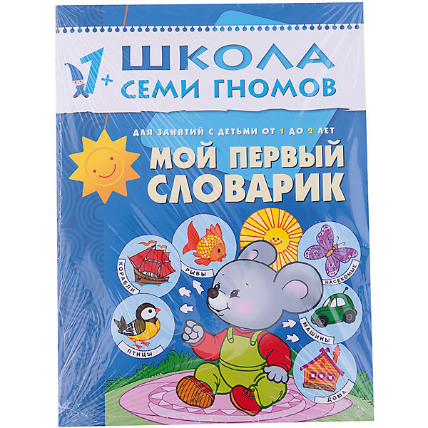

Второй год обучения "Мой первый словарик", Школа Семи Гномов