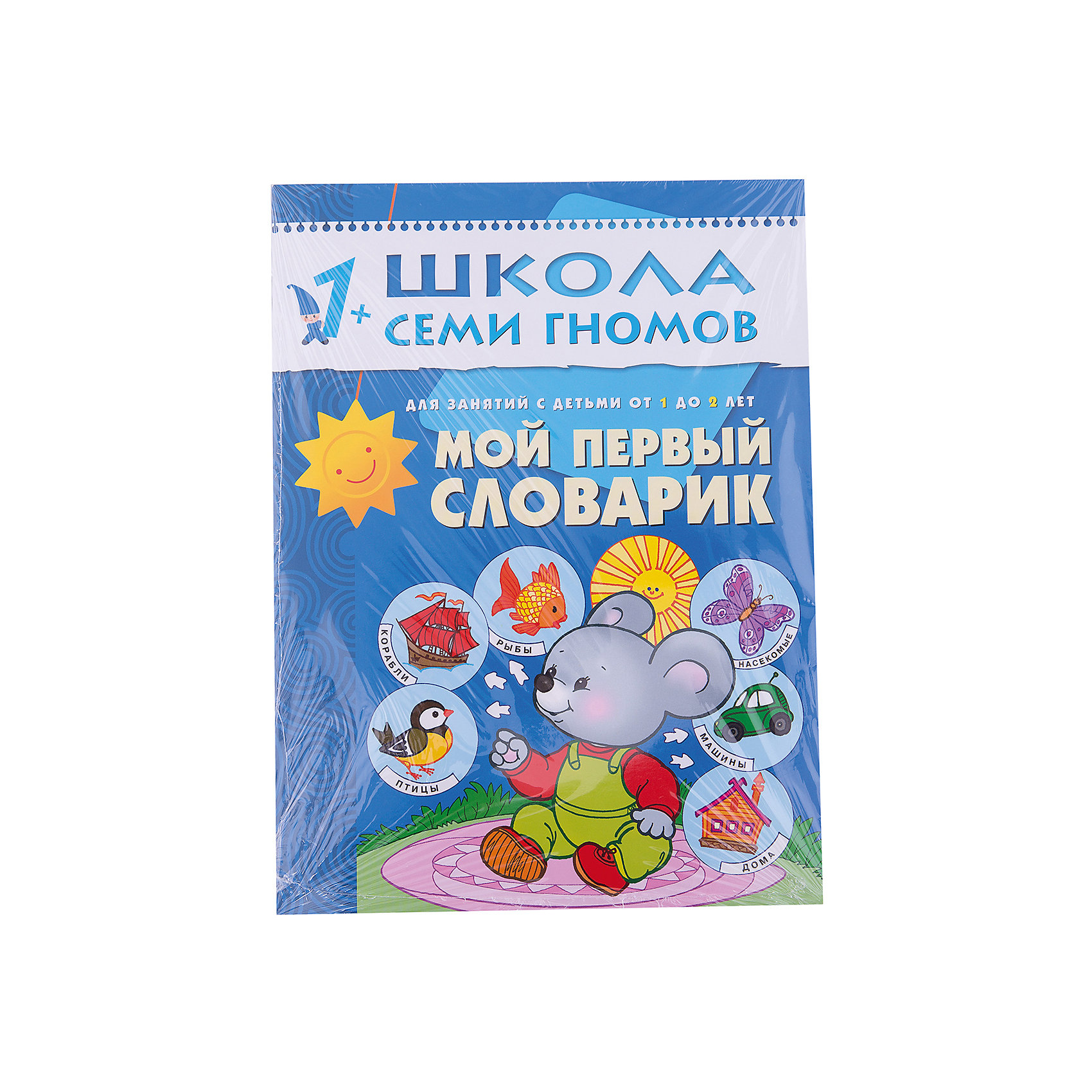 фото Второй год обучения "Мой первый словарик", Школа Семи Гномов Мозаика-синтез