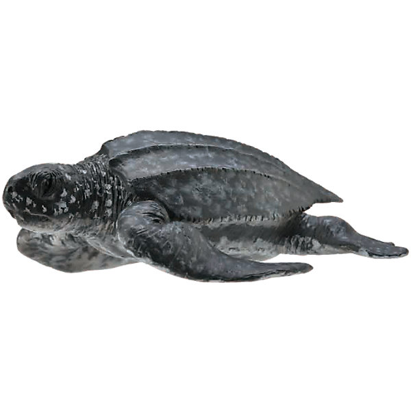 

Кожистая черепаха (M), Collecta
