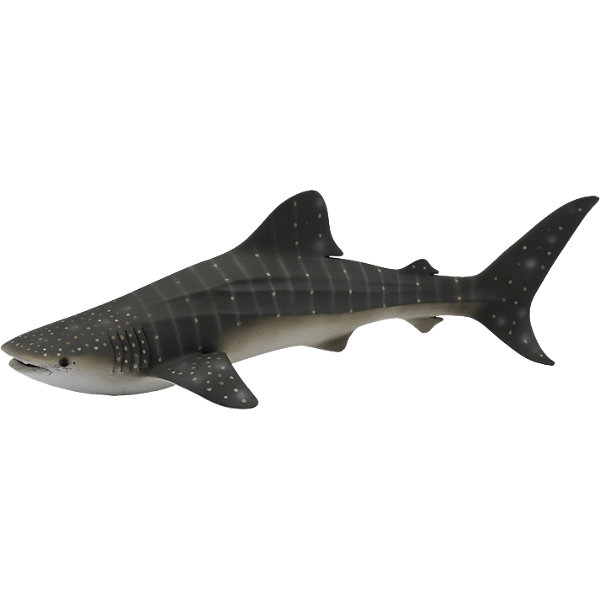 фото Китовая акула, XL, Collecta