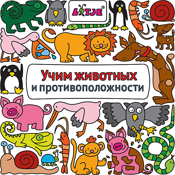 

Учим животных и противоположности