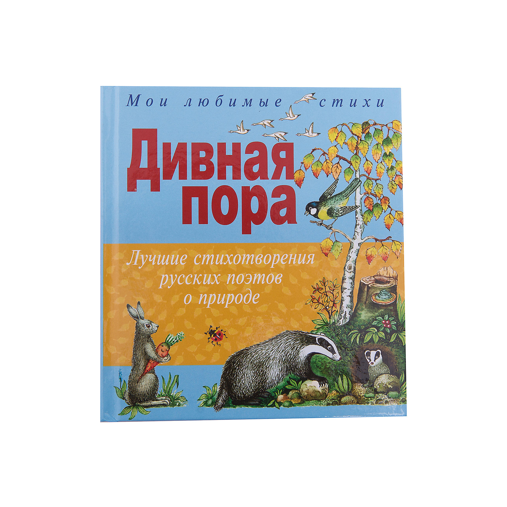 Дивная пора. Дивная пора лучшие стихотворения русских поэтов о природе. Целищев Геннадий 