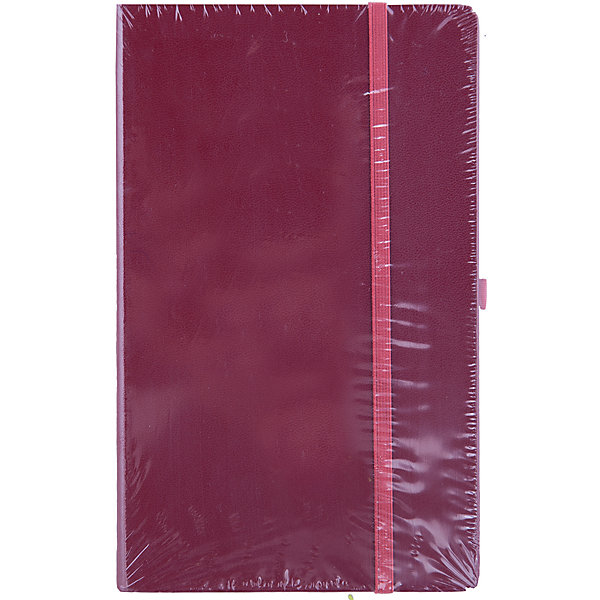 

Записная книга, на резинке, 130х210, ARIANE, Erich Krause