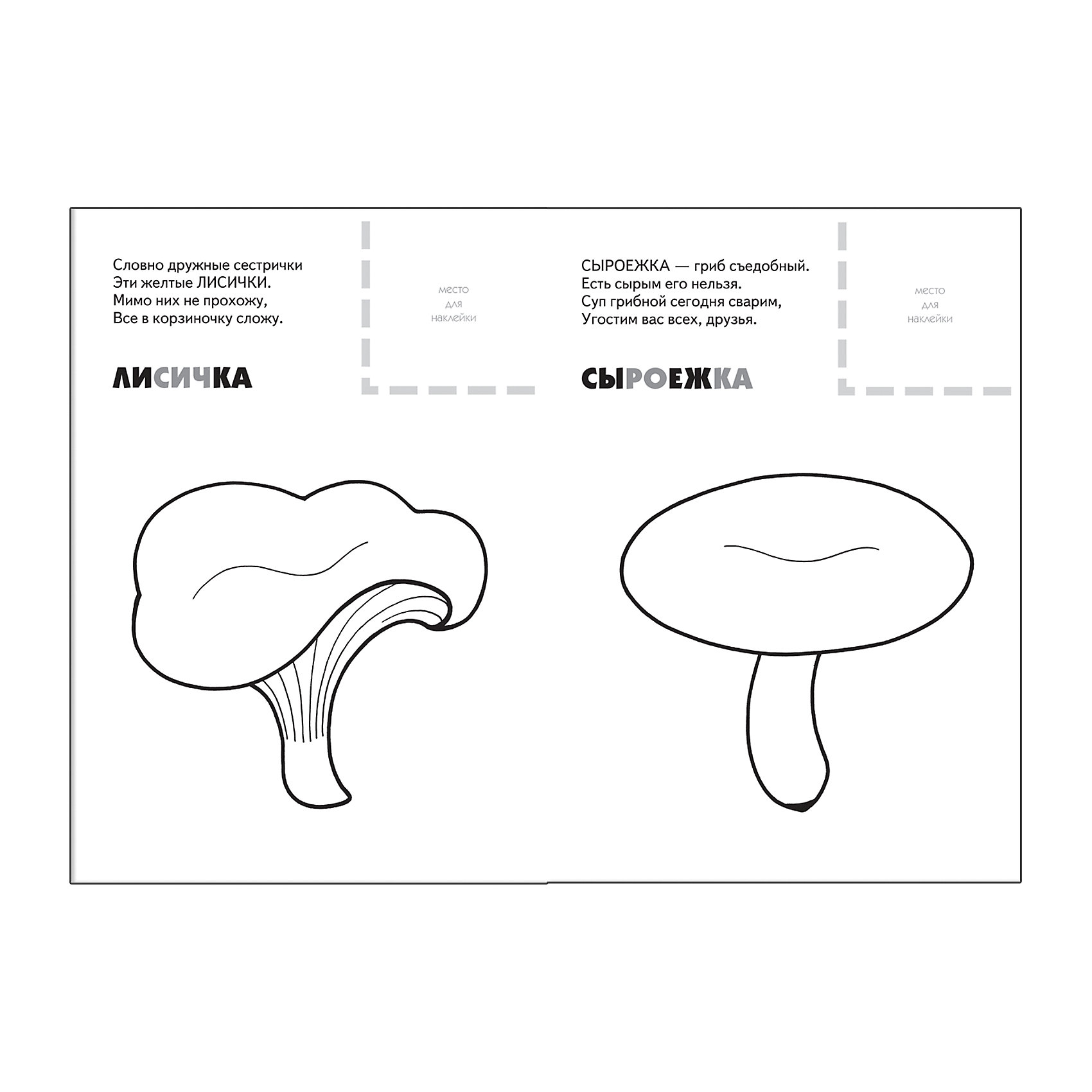 Книжка раскраска про грибы