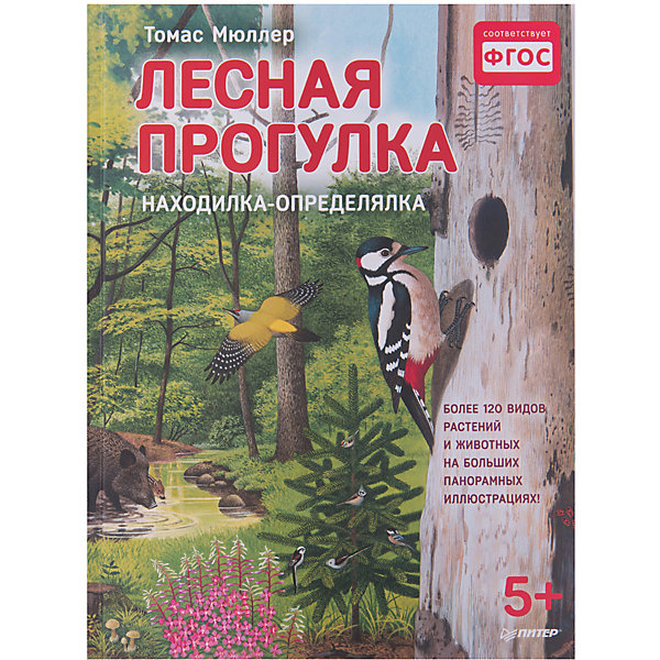 

Книжка с иллюстрациями "Лесная прогулка"
