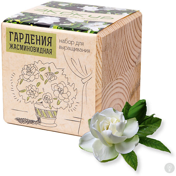 

Набор для выращивания "Гардения жасминовидная", Экокуб