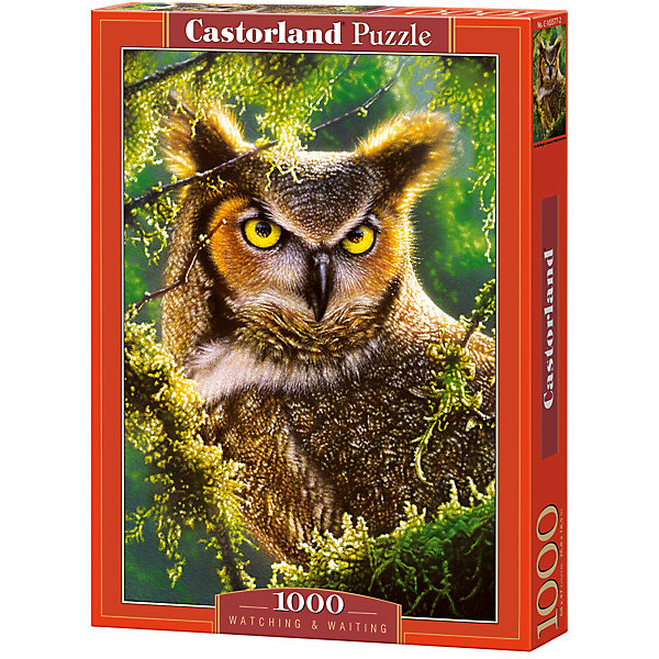 

Пазл Castorland "Сова. Наблюдение", 1000 деталей