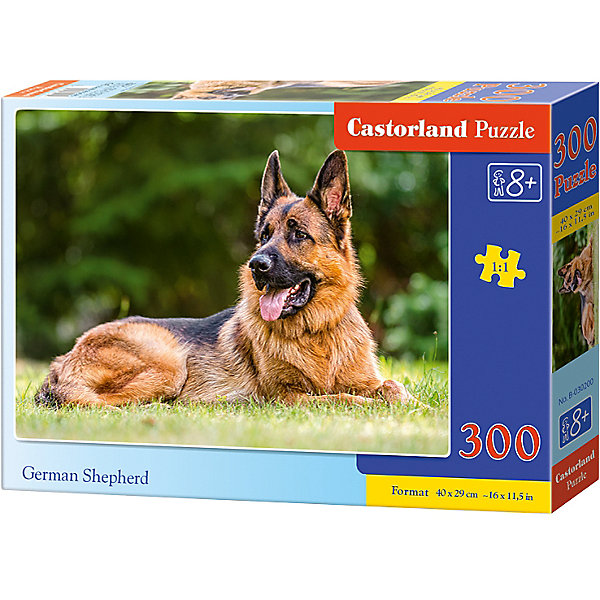 

Пазл Castorland "Немецкая овчарка", 300 деталей
