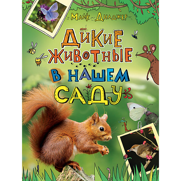 

Дикие животные в нашем саду