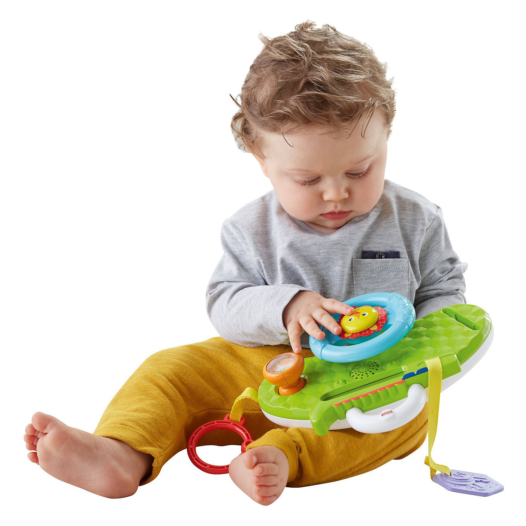 фото Развивающая игрушка Fisher-Price «Львенок» Mattel