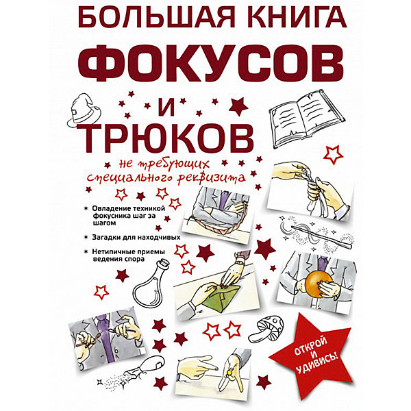 

Большая книга фокусов и трюков