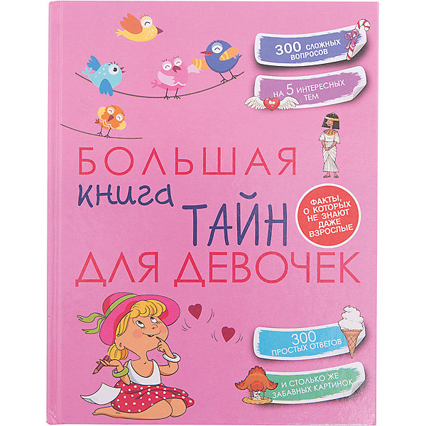 

Большая книга тайн для девочек