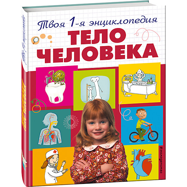 

Тело человека