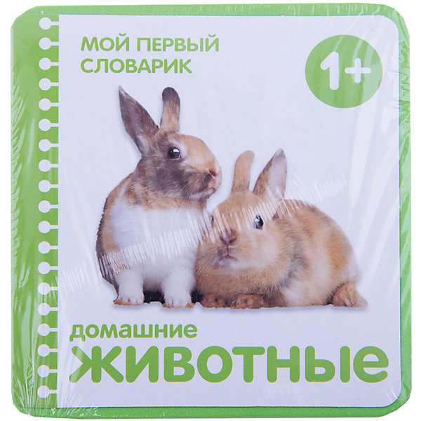 

Мой первый словарик "Домашние животные"