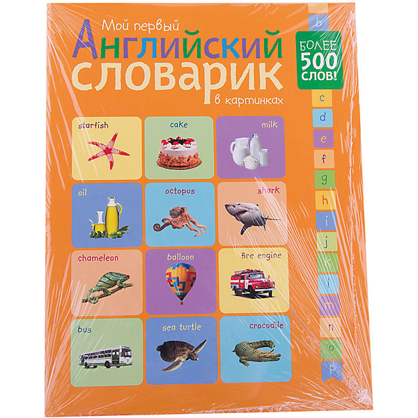 

Мой первый английский словарик в картинках