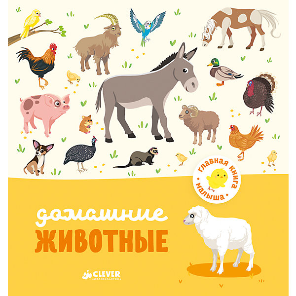 

Домашние животные, А. Бессон, Главная книга малыша