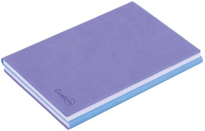 Записная книга 2 в 1 Феникс+, голубо-сиреневый, артикул:7046202 - Бумажная продукция Записная книга 2 в 1 Феникс+, голубо-сиреневый, артикул:7046202 - Бумажная продукция